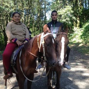 Meet your Posher, Narendra